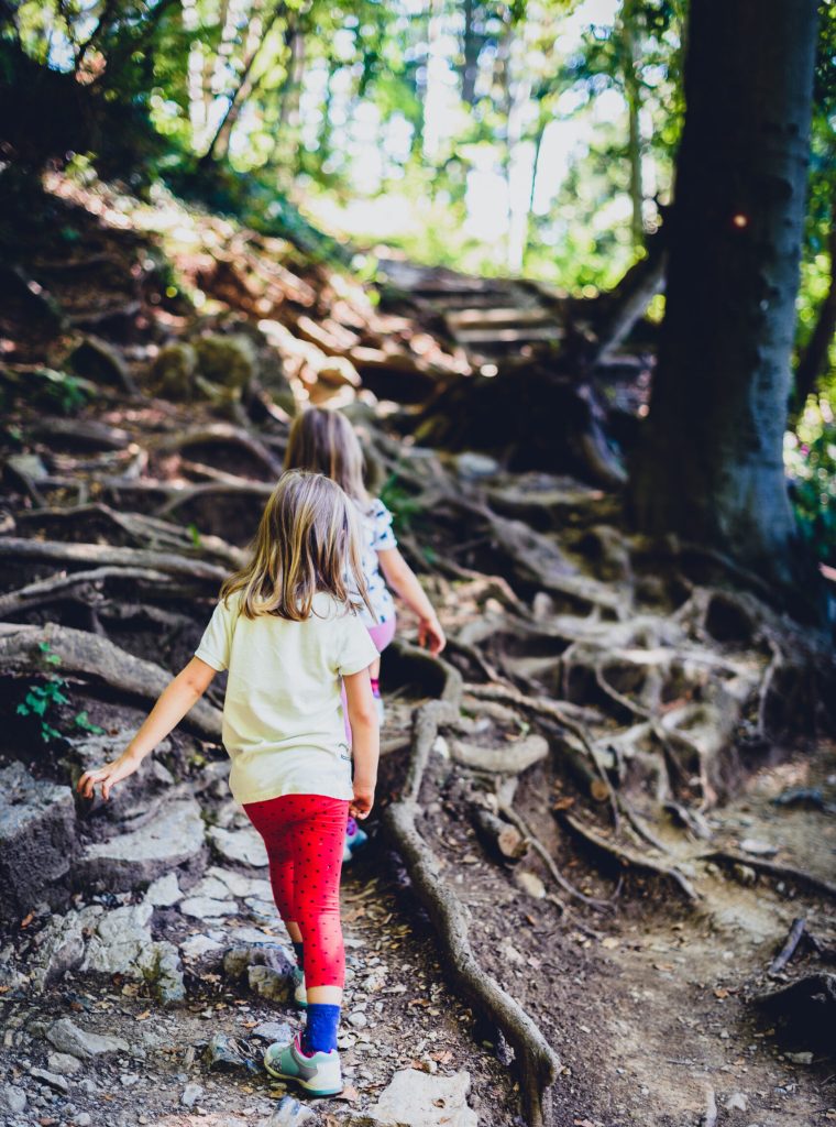 Children - twin girls are hiking in the mountains. Active family, parents and children mountaineering in the nature.